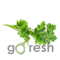 Coriandru 100g