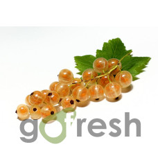 Coacăză albă 1kg Coacăză albă 1kg