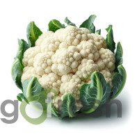 Conopidă 1kg Conopidă 1kg